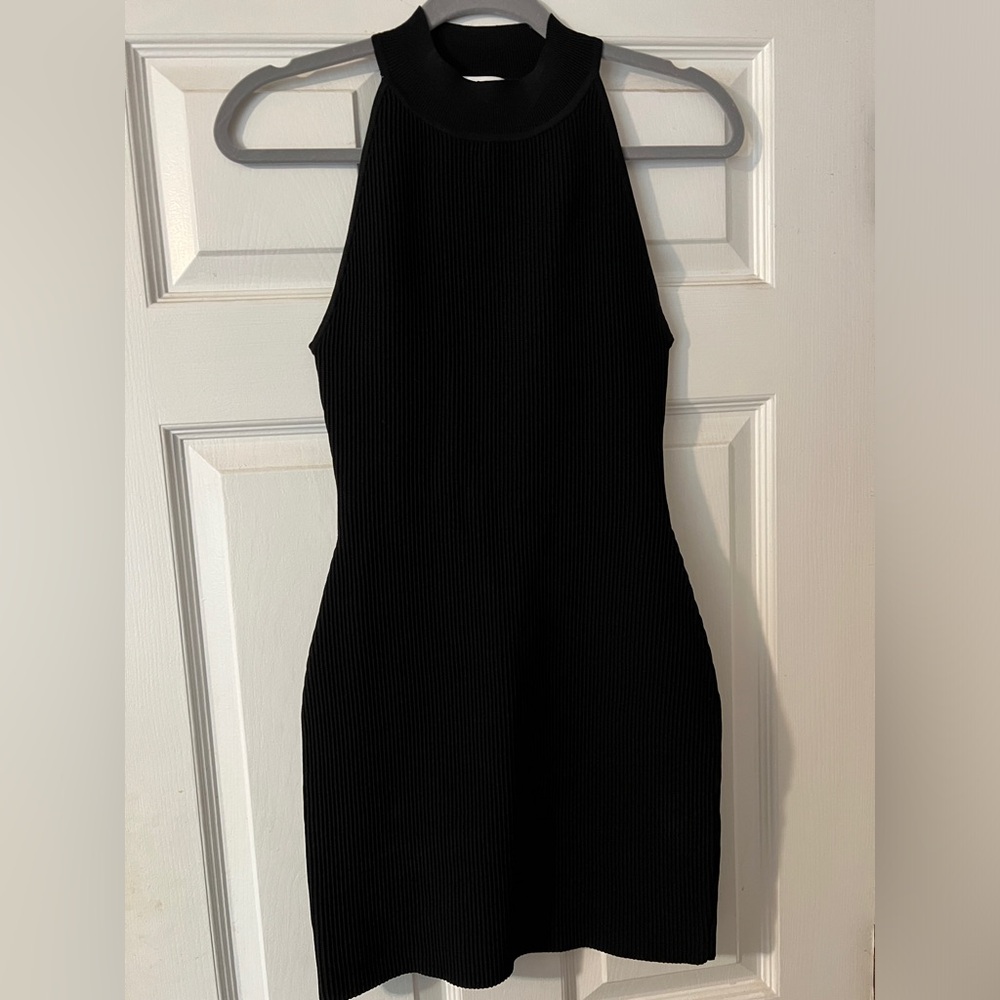 Aritzia Ribbed Babaton dress